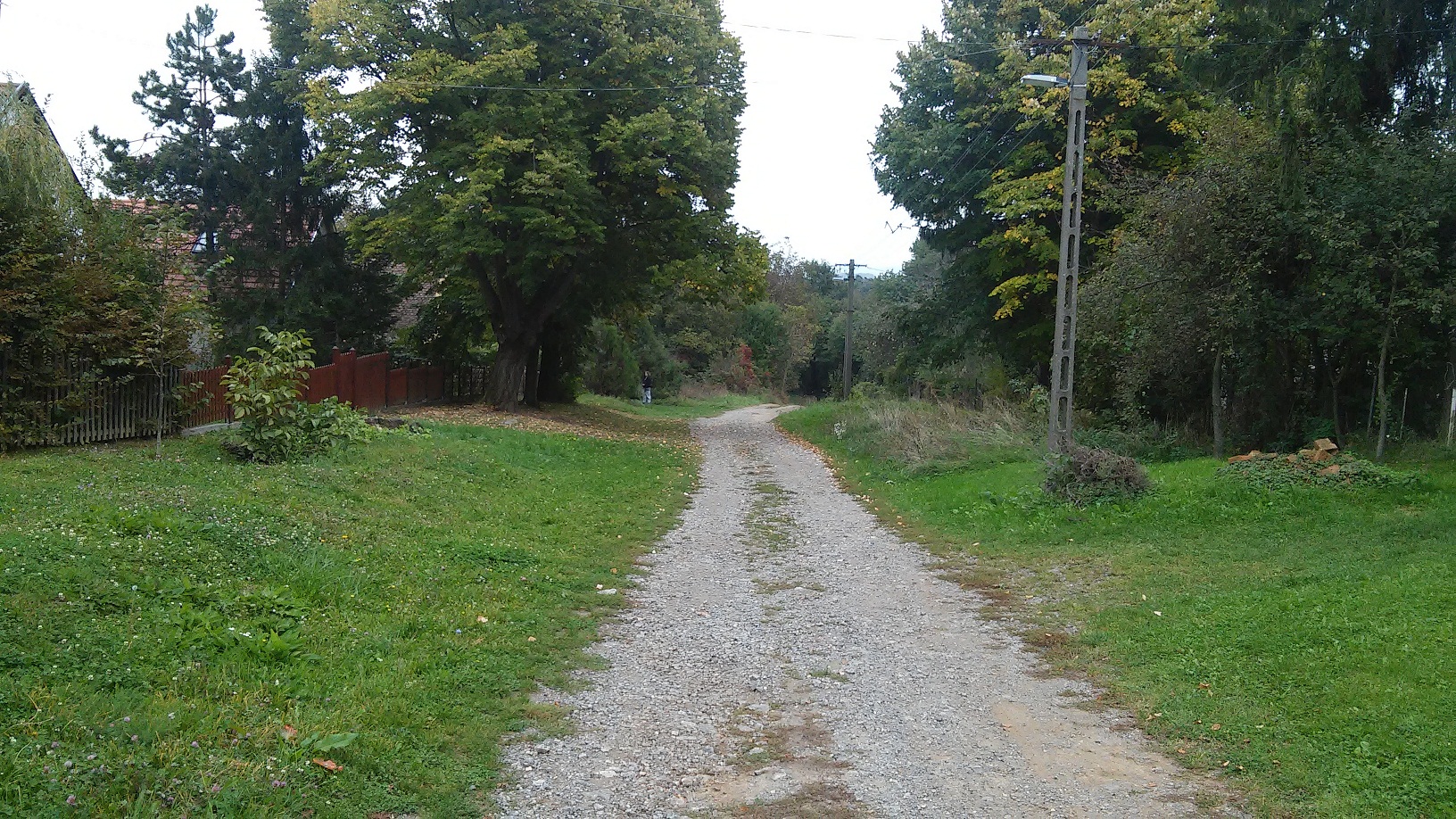 Sicht vom Haus aus nach links